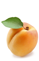 abricot Escande
