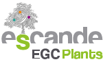 Logo Escande EGC